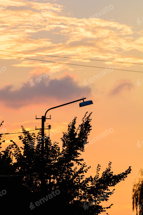 Preview: Silhouettes Of Trees Against Orange Sunset Sky