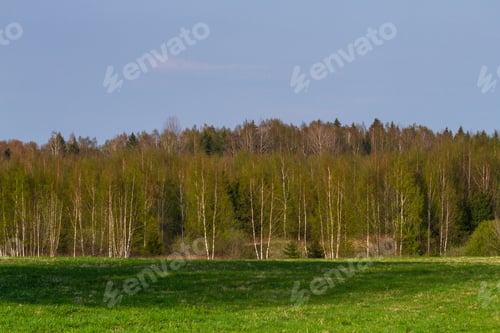 Preview: Agricultural Fields In Springtime