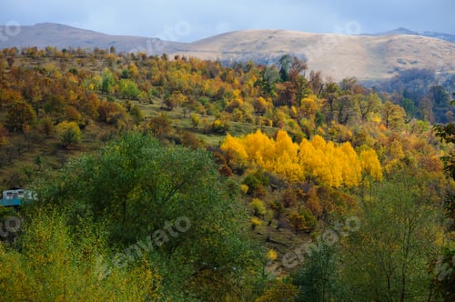 Preview: Beautiful Autumn Landscape