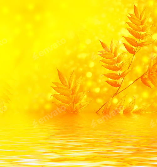 Preview: Autumn Landscape With Bright Colorful Leaves. Indian Summer.