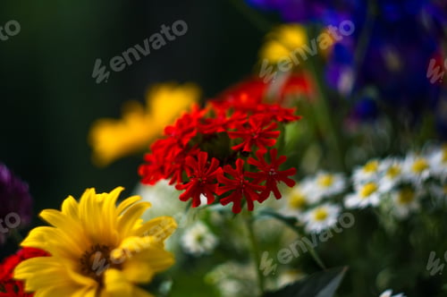 Preview: A Bouquet Of Bright Spring Flowers Of Various Types