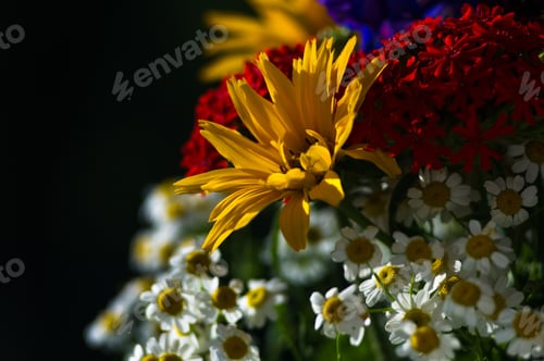 Preview: A Bouquet Of Bright Spring Flowers Of Various Types