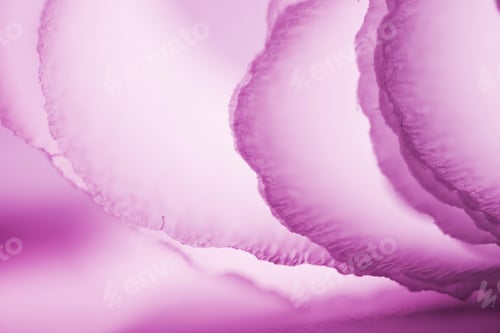 Preview: Colorful Abstract Composition With Crepe, Lights And Shadows