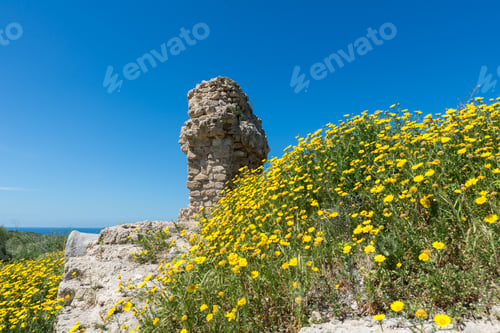Preview: Visiting Ashkelon National Park, Israel