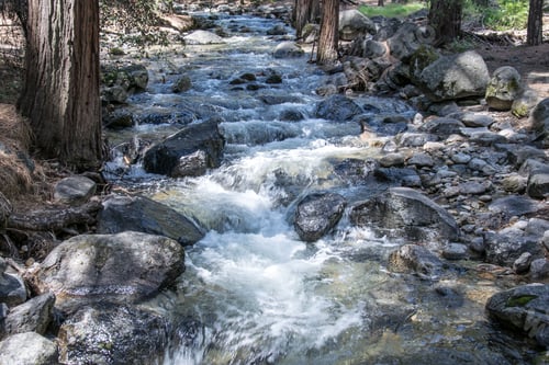 Preview: Merced River, Yosemite National Park, California