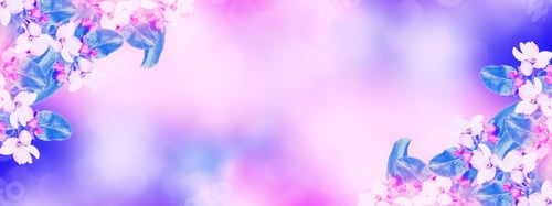 Preview: Nature. Blossoming Branch Apple. Bright Colorful Spring Flowers