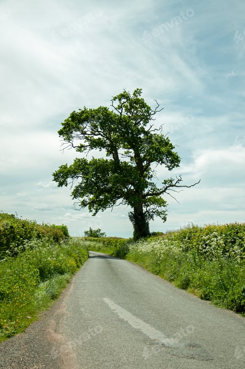 Preview: English Countryside Road In The Summertime.