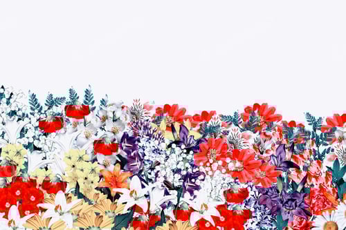 Preview: Floral Abundance Displaying Red, Purple, and Yellow Flowers