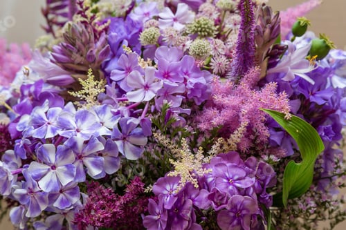 Preview: Flower Arrangement Of Perennial Blooming Plants