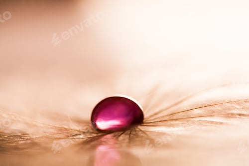 Preview: Macro, Abstract Composition With Colorful Water Drops On Dandelion Seeds