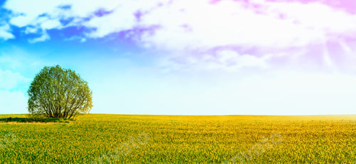 Preview: Landscape With The Bright Green Trees And Blue Sky.