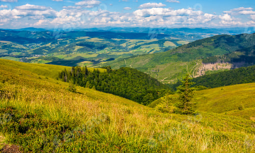 Preview: Grassy Meadow With Forest On Steep Slope. Mountain Ridge Near Rural Valley