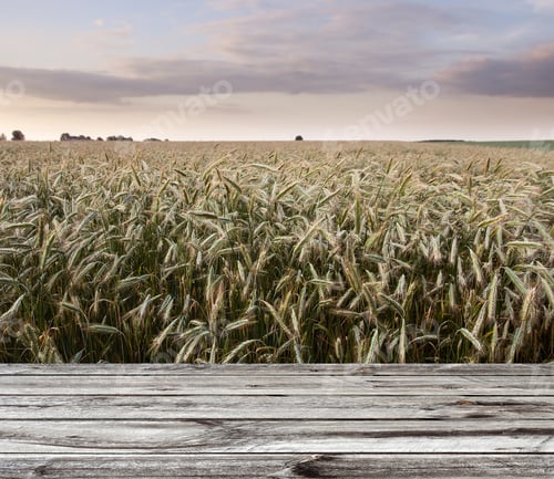 Preview: Wood Floor Over Yellow Wheat Field Under Nice Sunset Cloud Sky Background