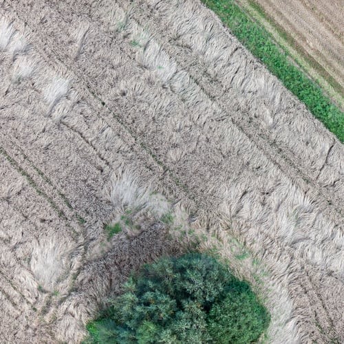 Preview: Aerial View Over The Agricultural Field