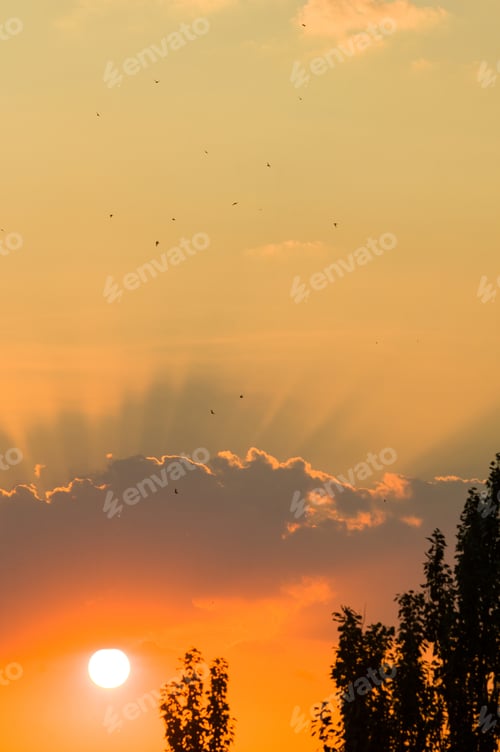 Preview: Landscape With Dramatic Light - Beautiful Golden Sunset With Saturated Sky And Clouds.