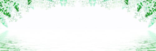 Preview: Lily Of The Valley Flower On White Background