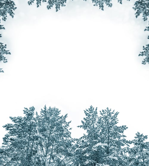 Preview: Frozen Winter Forest With Snow Covered Trees.