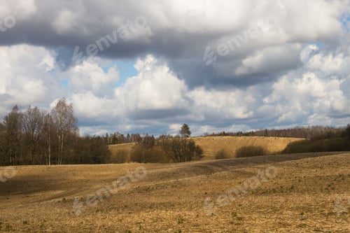 Preview: Processed Cereal Fields In Spring
