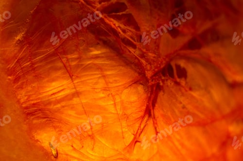 Preview: Amazing View Of The Cut Orange Pumpkin From The Inside, Close-Up