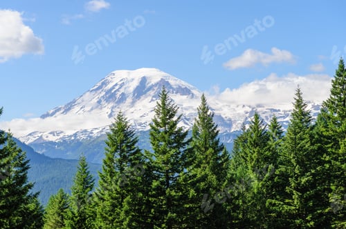 Preview: Mount Rainier Peaking Through The Clouds And The Surrounding Forest.
