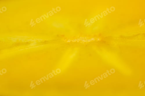 Preview: Persimmon Slice - Texture