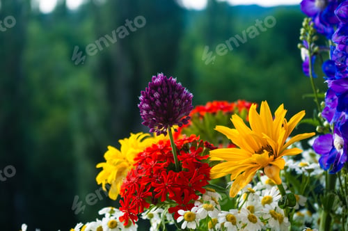 Preview: A Bouquet Of Bright Spring Flowers Of Various Types