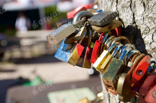 Preview: Love Padlocks On A Tree, Black Forest, Germany.