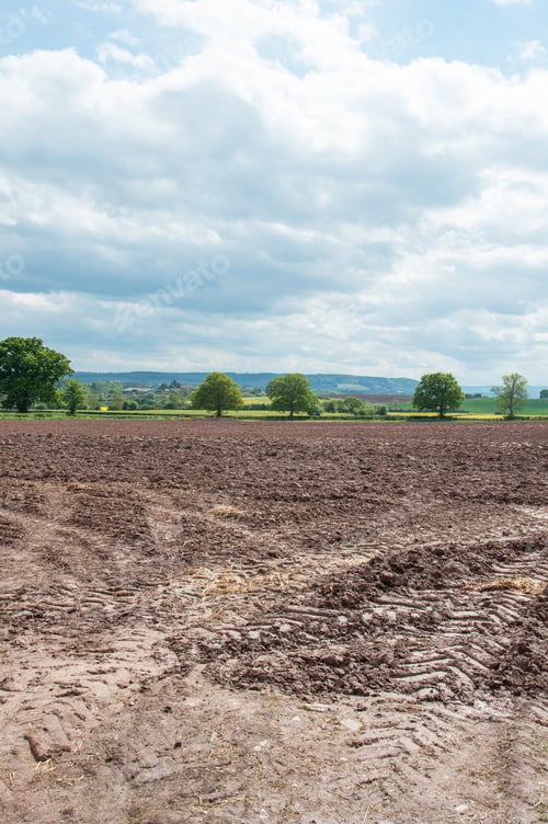 Preview: Agricultural Landscape In The English Countryside.