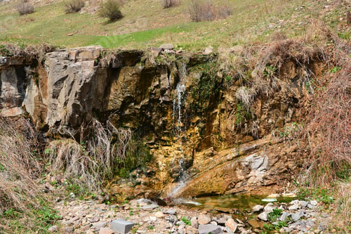 Preview: Landscape With Wild Brook