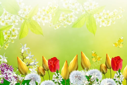 Preview: Floral Background With Bright Spring Flowers.