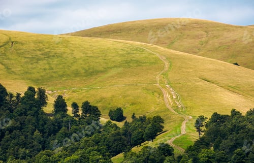 Preview: Beech Forest On Rolling Hills Of Mountain Ridge. Beautiful Scenery With Alpine Meadows. Wonderful