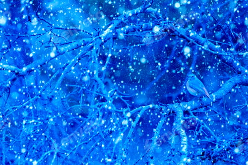 Preview: Winter Season And Birds. Falling Snow. Blue Nature Background.