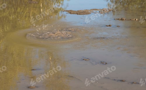 Preview: Water Ripples In A Dirty Puddle