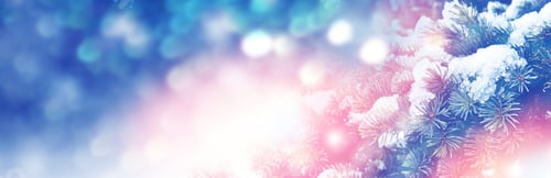 Visualização: Floresta congelada de inverno com árvores cobertas de neve. Ao ar livre