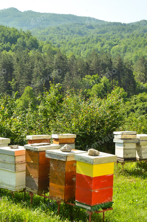 Preview: View Of The Apiary In A Mountain Monastery In Montenegro