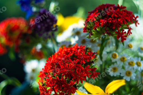 Preview: A Bouquet Of Bright Spring Flowers Of Various Types