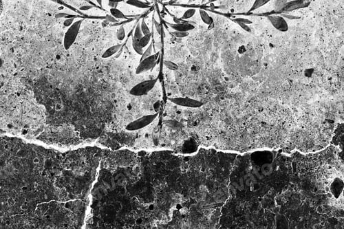 Preview: Cracked Soil And Grass - Texture And Background