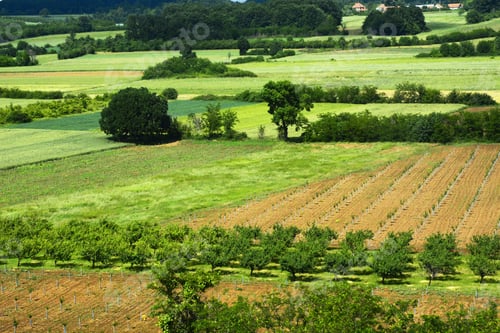 Preview: View Of Agricultural Fields
