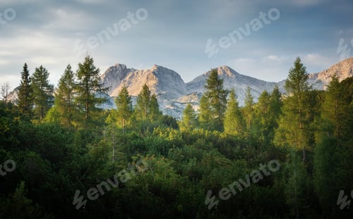 Preview: Summer Morning At Komna Plateau In Julian Alps