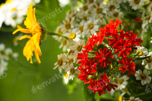 Preview: A Bouquet Of Bright Spring Flowers Of Various Types