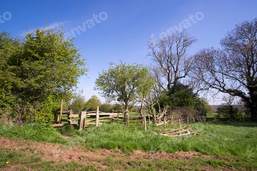 Preview: Rural Scene With Trees And A Fence