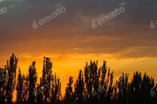 Preview: Landscape With Dramatic Light - Beautiful Golden Sunset With Saturated Sky And Clouds.