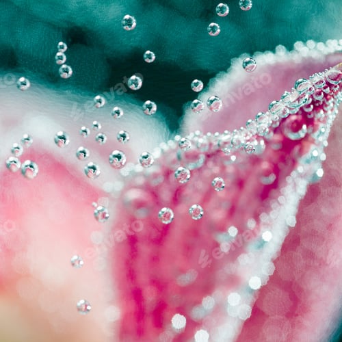 Preview: Abstract Underwater Composition With Orchid Petals, Bubbles And Light