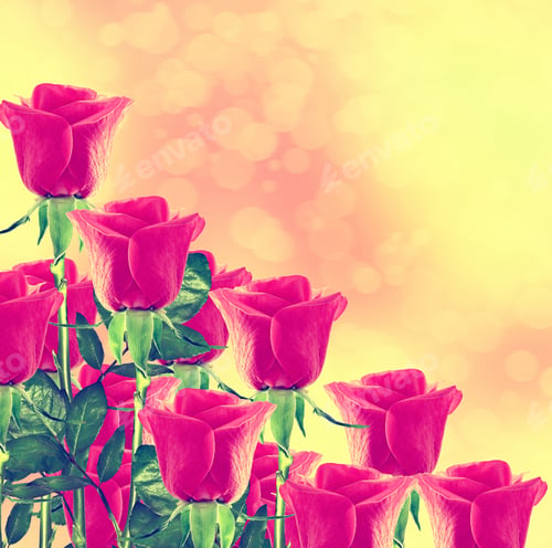 Preview: The Buds Of Flowers Roses. Holiday Card. Floral Background