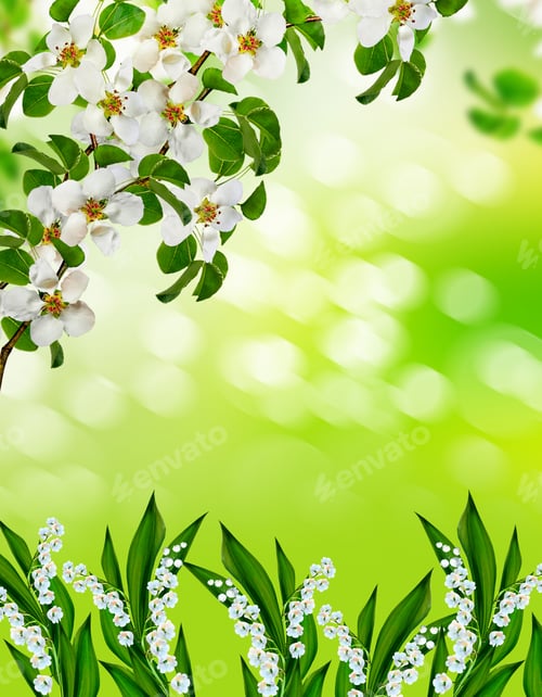 Preview: Blooming Apple Tree