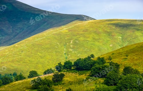 Preview: Beautiful Summer Landscape. Green Grassy Meadow On A Hillside On Top Of Mountain Ridge With Some