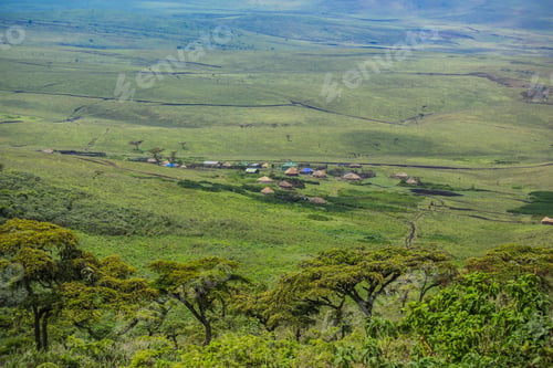 Preview: Masai Village In Ngorongoro Crater. Small Masai Huts In African Savanna, Tanzania