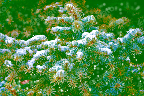 Preview: Frozen Winter Forest With Snow Covered Trees.