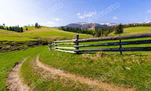 Preview: Country Road Through Grassy Rural Hillside. Lovely Springtime Scenery In Mountainous Area