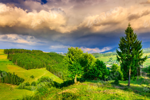 Preview: Mountain Landscape With Pine Forest A Warm Summer Evening With A Cloudy Sky After The Storm